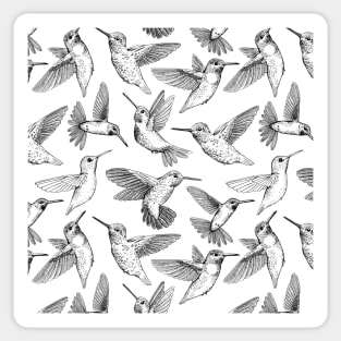 Hummingbirds Sticker